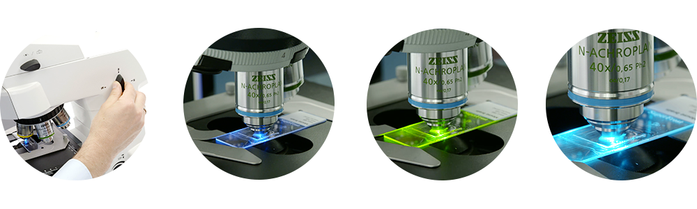 Microscope à fluorescence ZEISS AxioLab 5